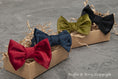 Load image into Gallery viewer, Bow tie FRANCESCO