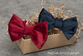 Load image into Gallery viewer, Bow tie FRANCESCO