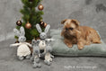 Load image into Gallery viewer, Bunny LILLY