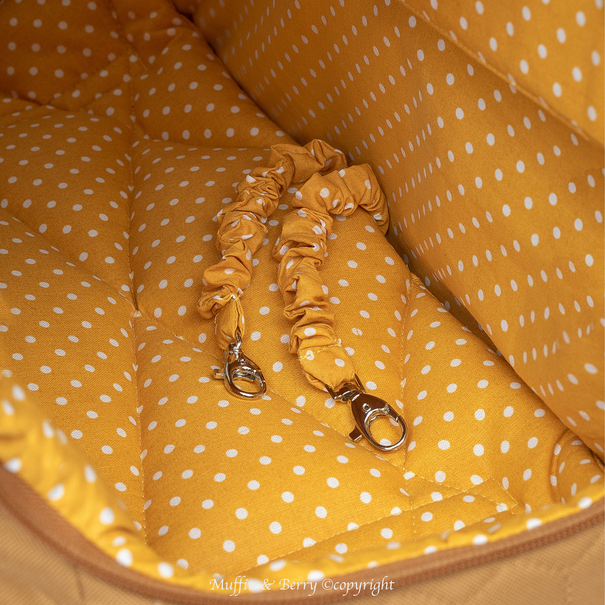 Pet travel carrier – ALBERT