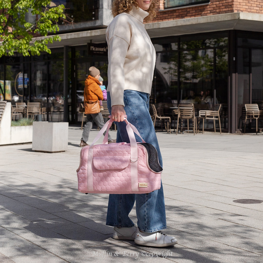 Pet travel carrier – ADELE