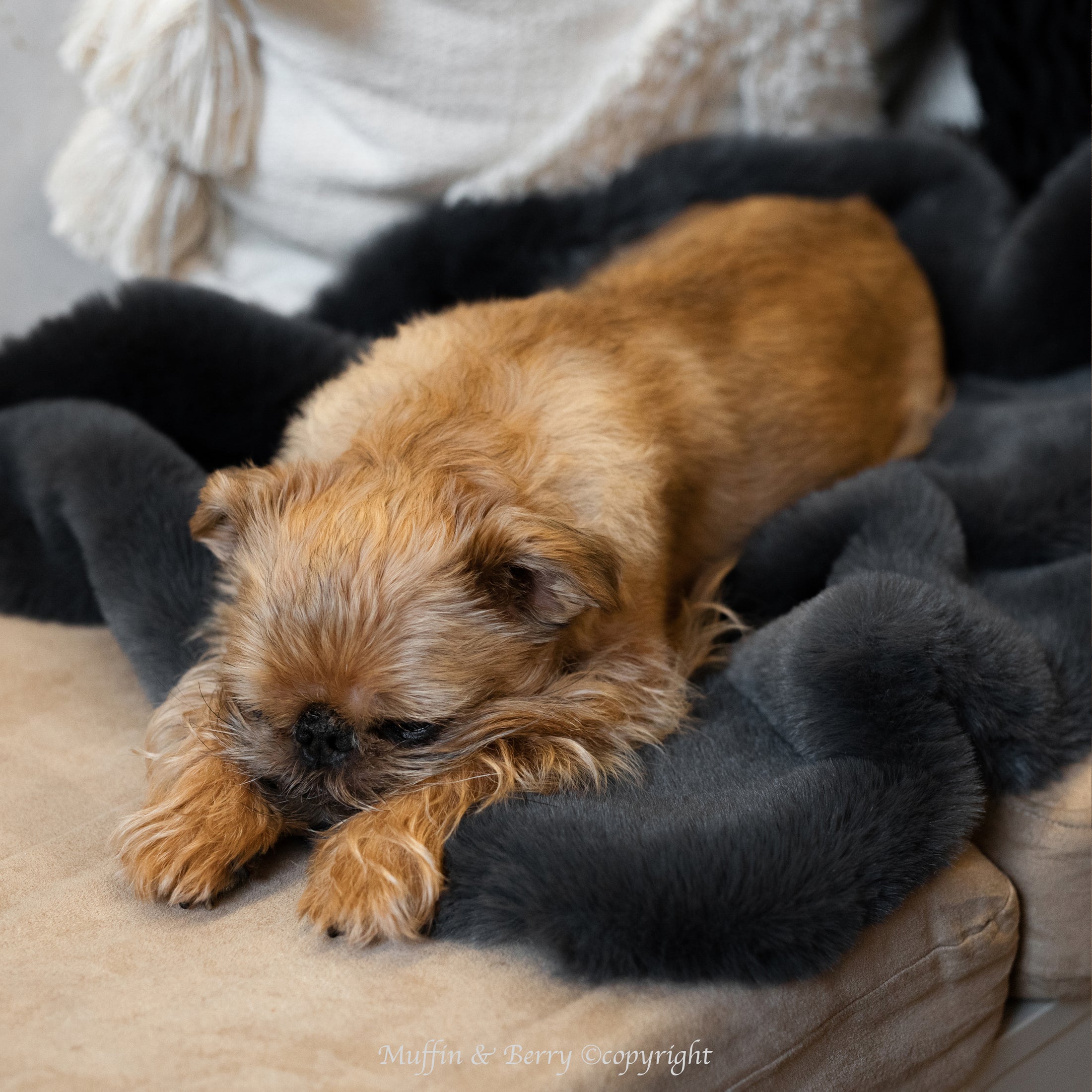 Faux bunny fur blanket PIPER