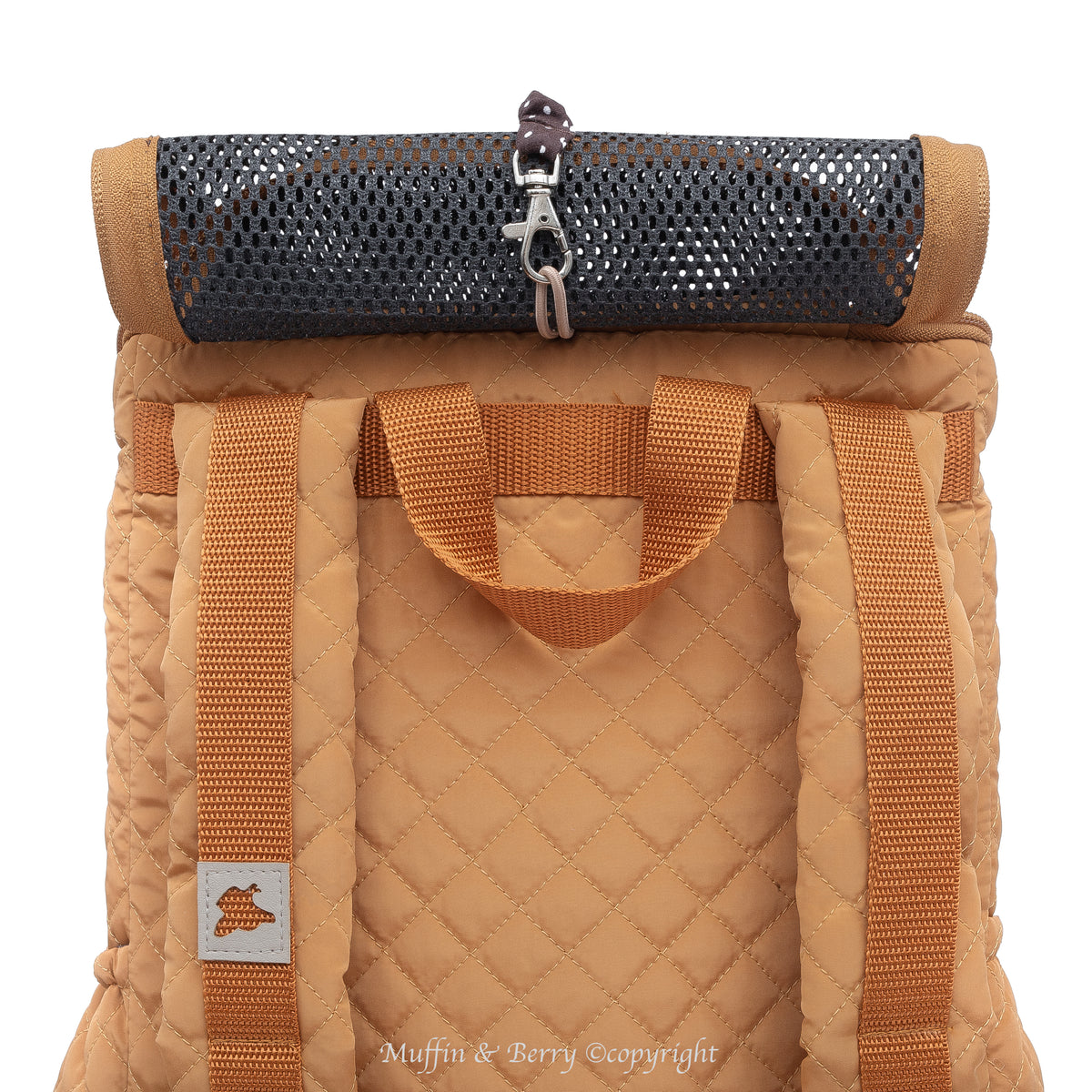 Front Pet Carrier – CALEB