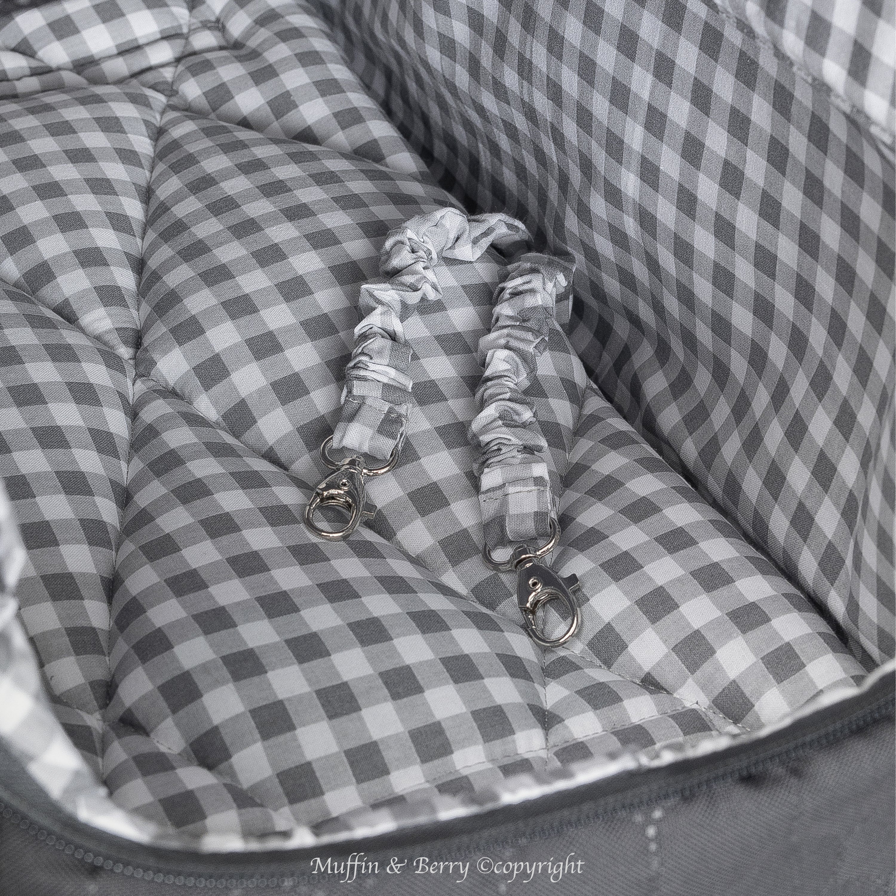 Pet travel carrier – ARTHUR