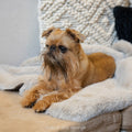 Faux Fur Pet Blanket - CORA