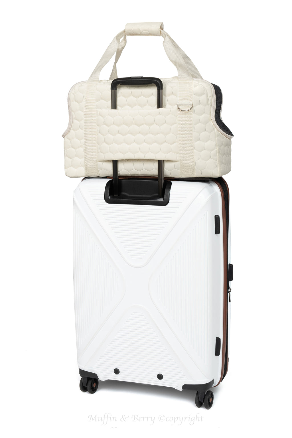 Pet travel carrier – GRACE