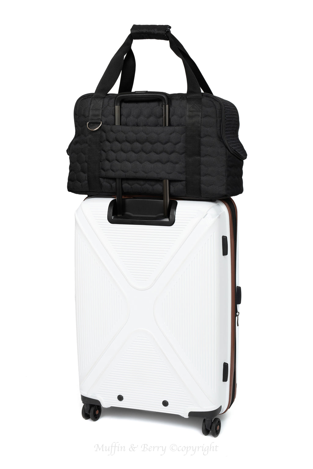 Pet travel carrier – LIAM