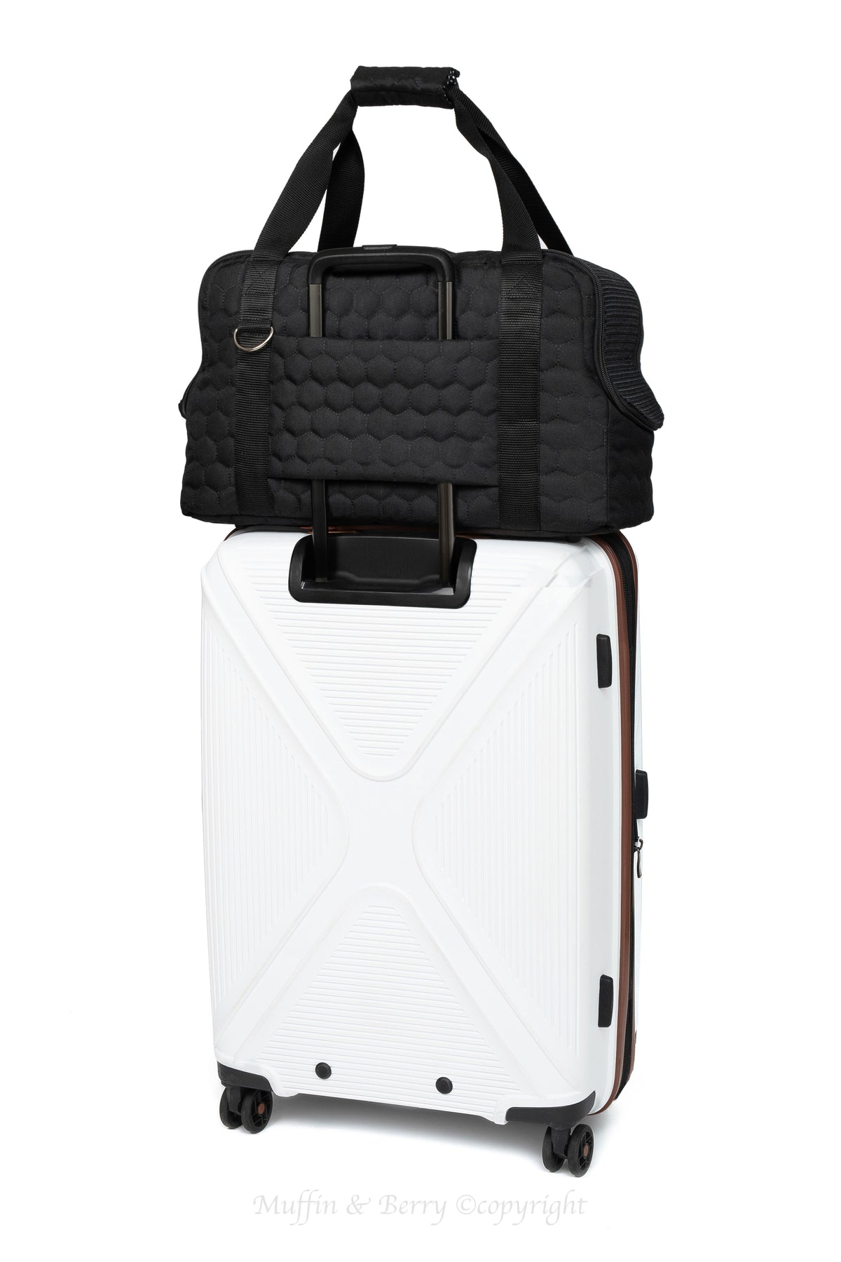 Pet travel carrier – LIAM