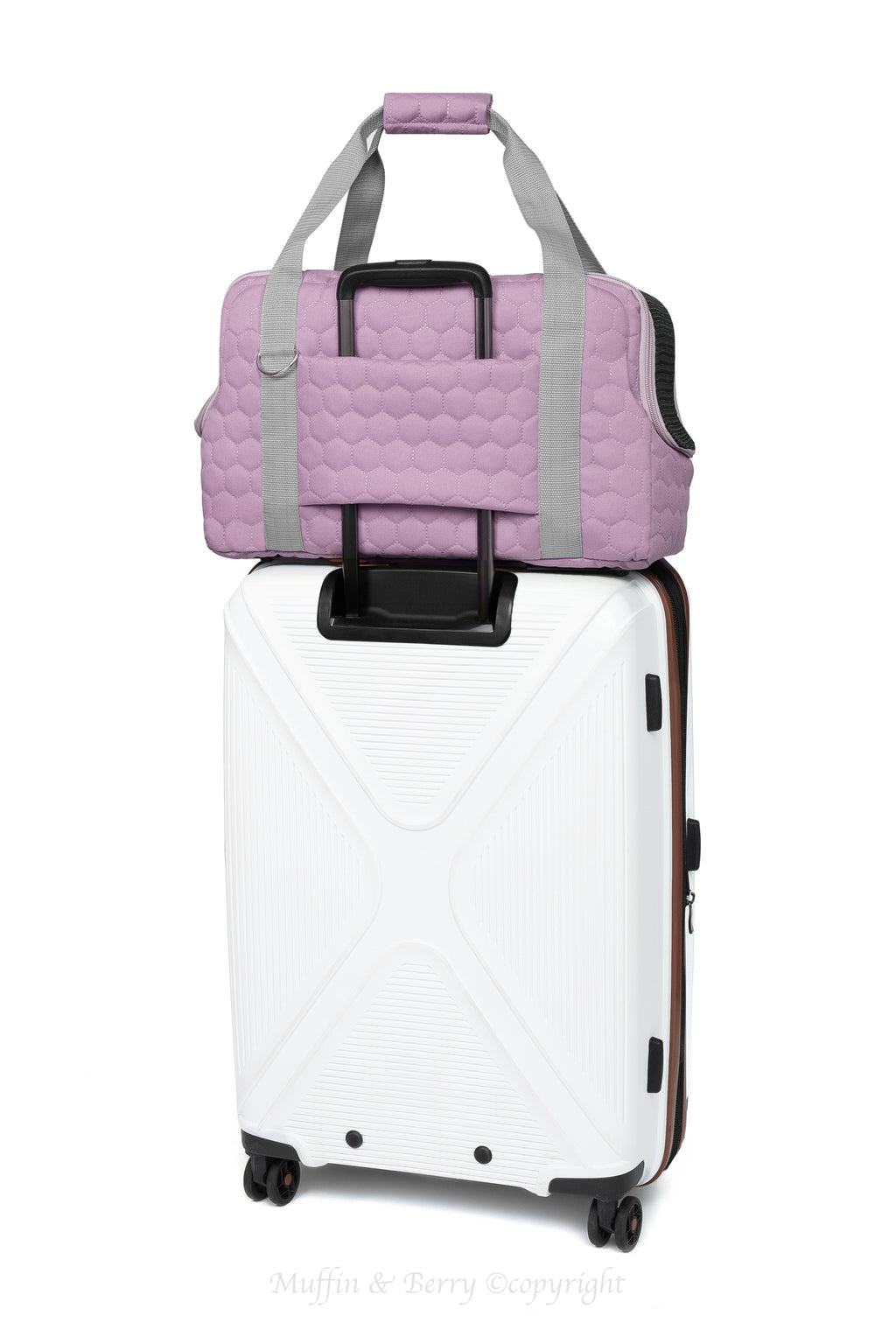Pet travel carrier – LUCIA