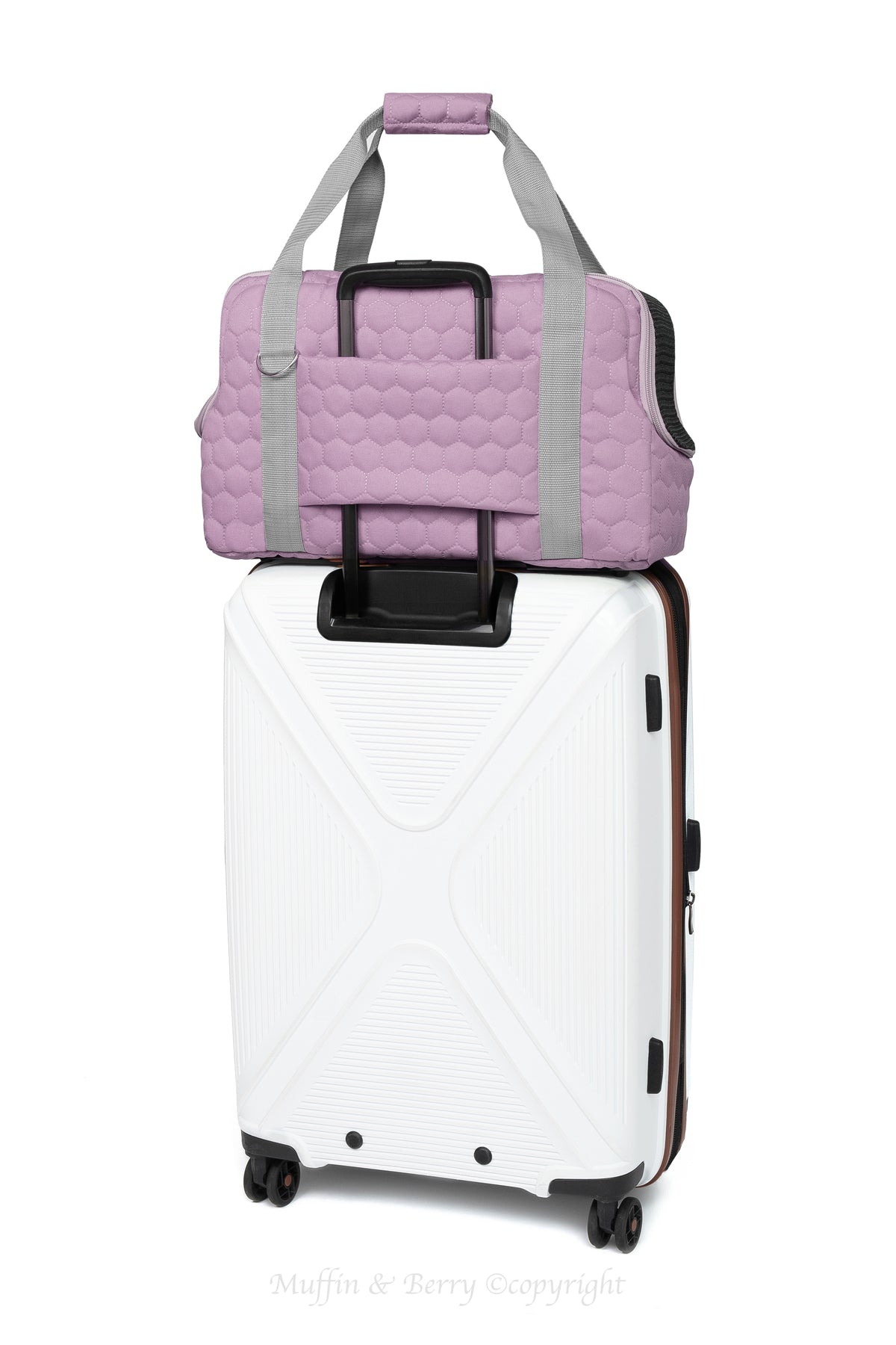 Pet travel carrier – LUCIA