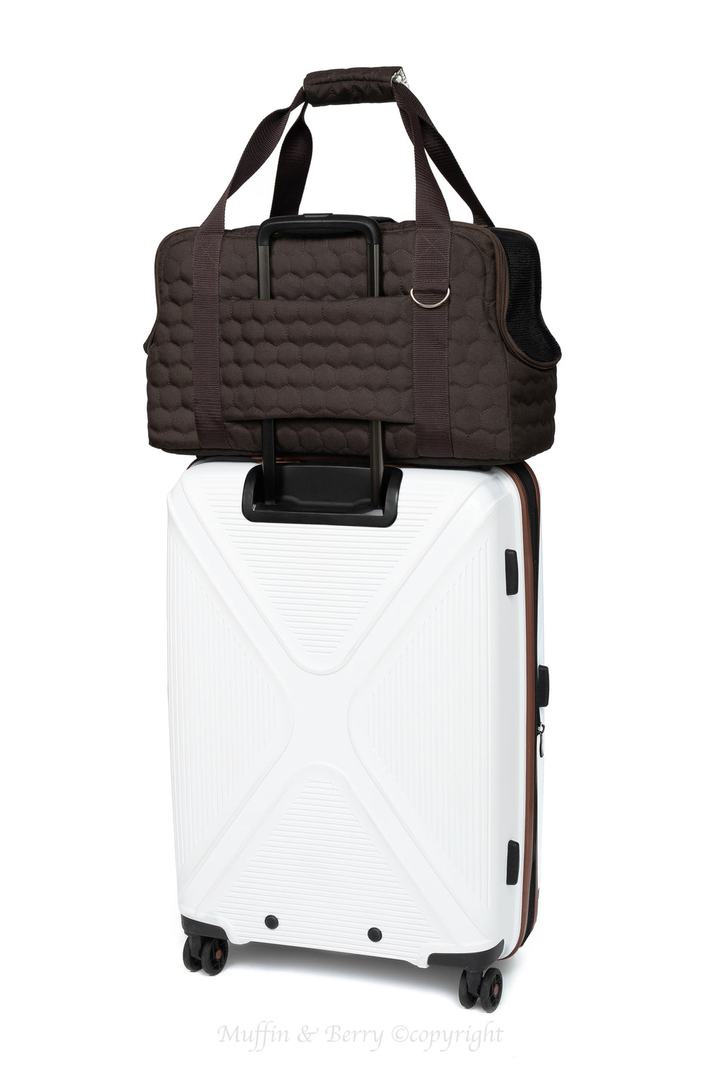 Pet travel carrier – HAZEL