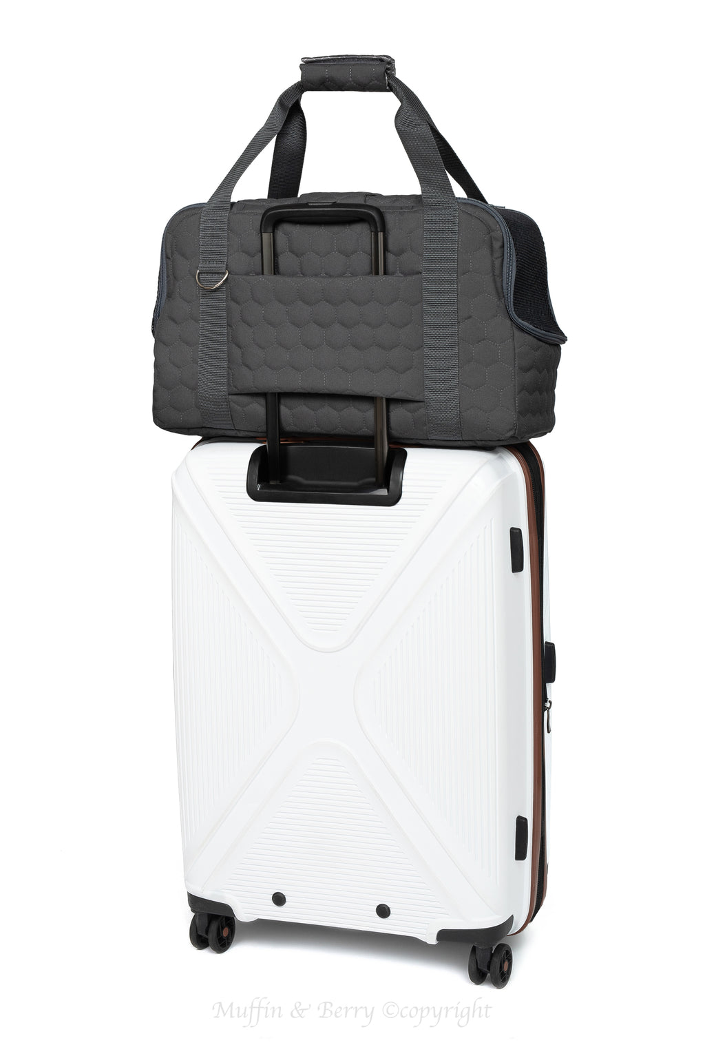 Pet travel carrier – ARTHUR