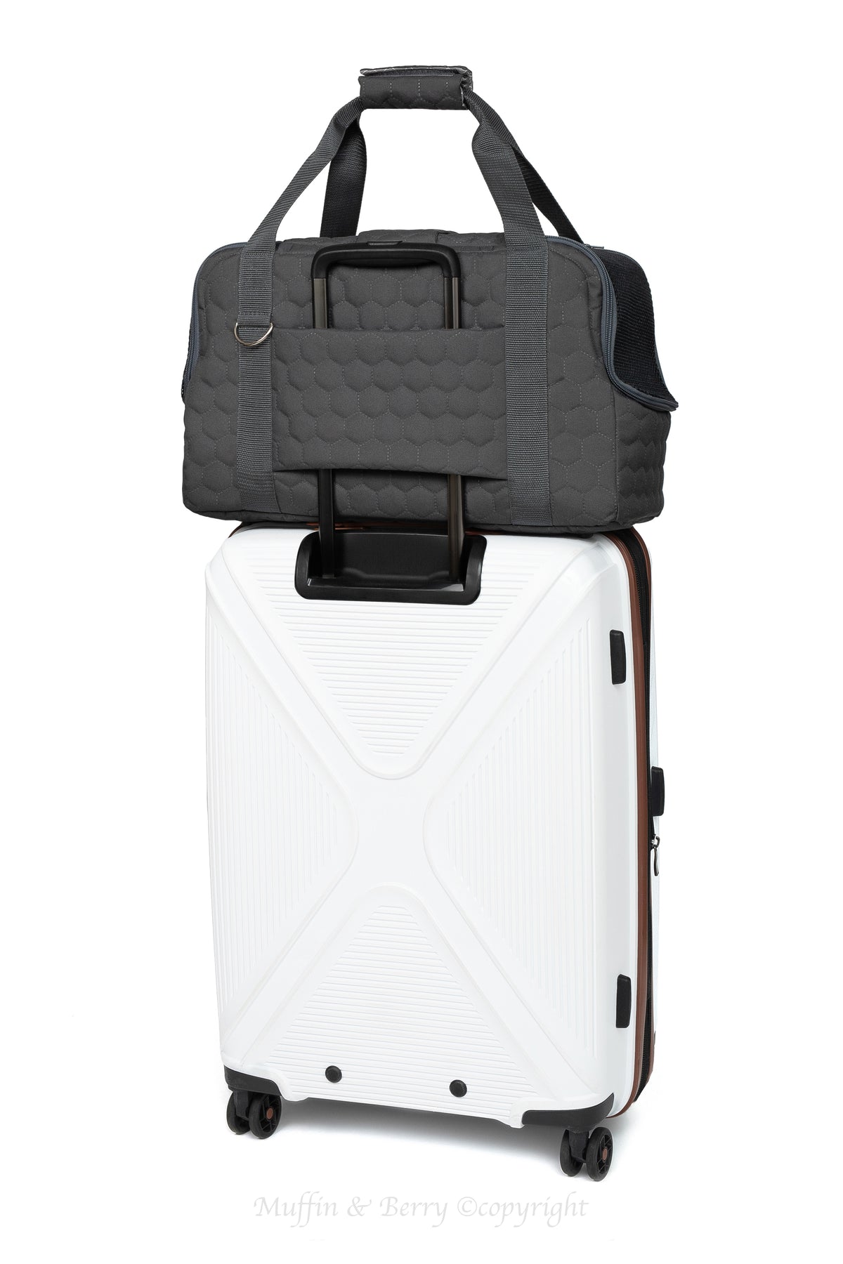 Pet travel carrier – ARTHUR