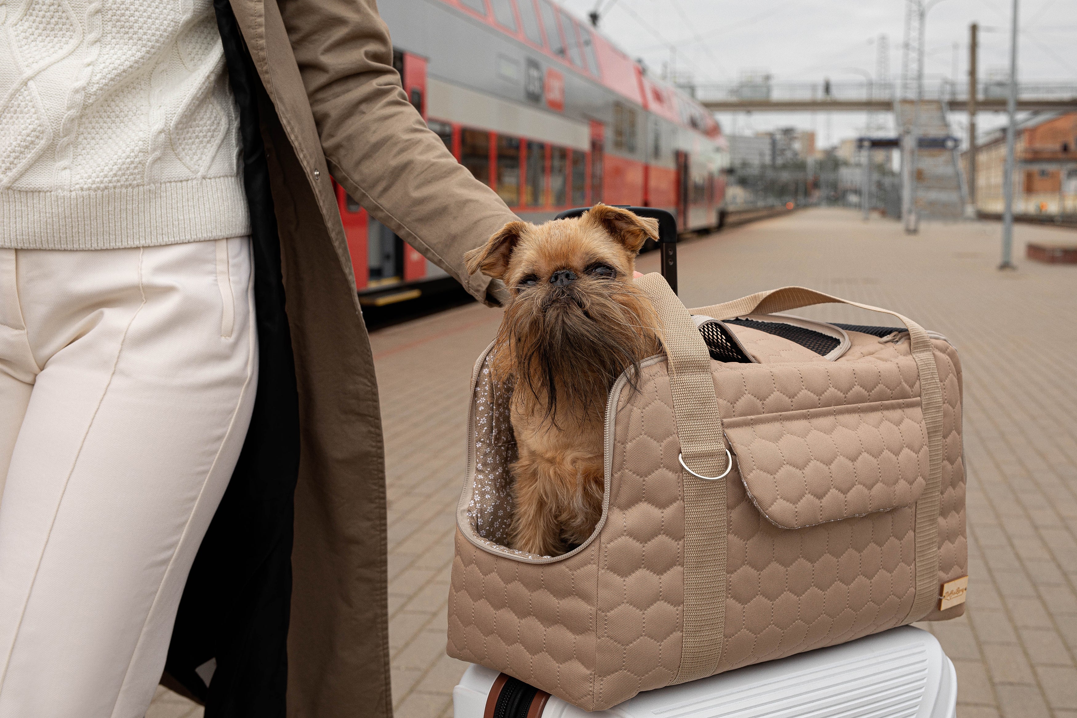 Pet travel carrier - MILA