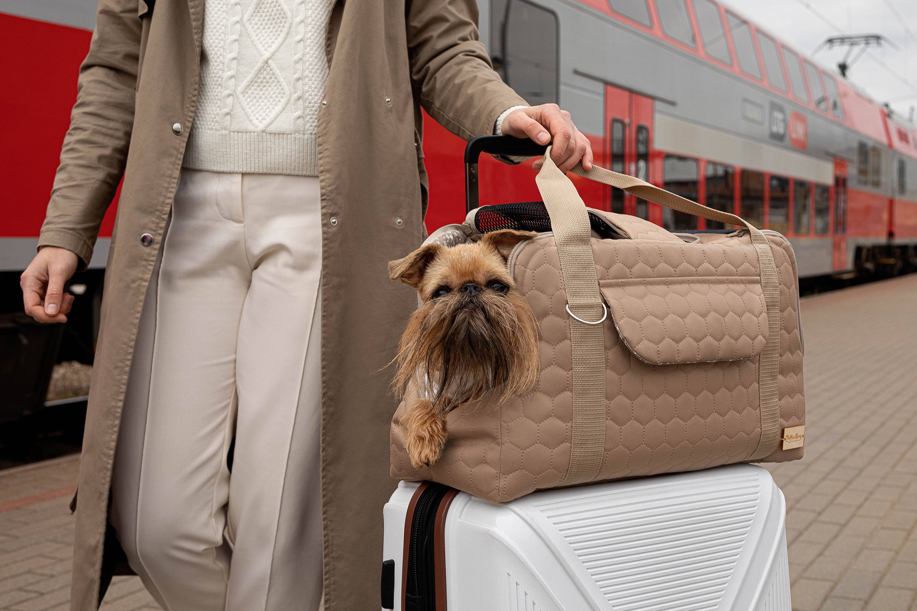 Pet travel carrier - MILA
