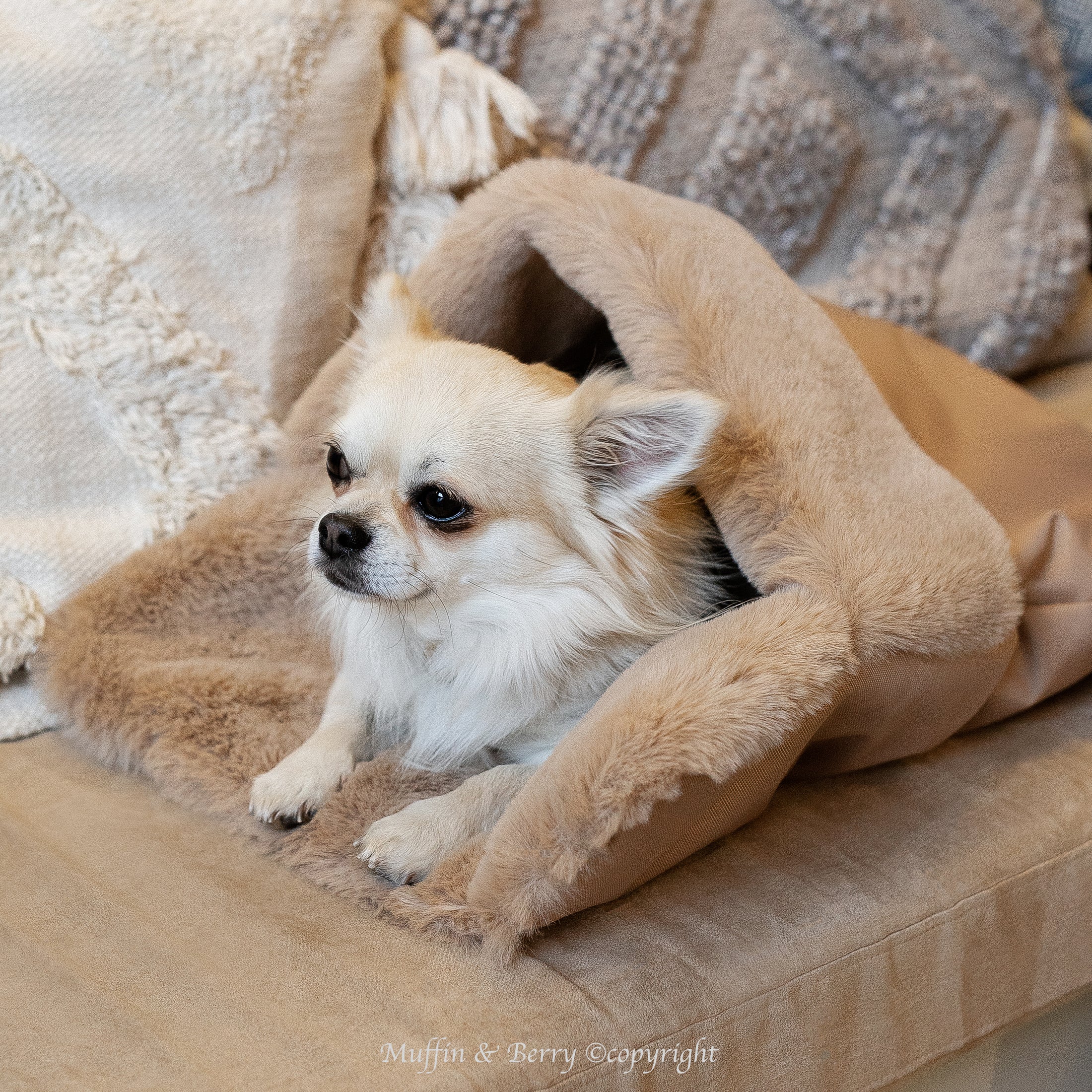 Faux-fur pocket ZARA