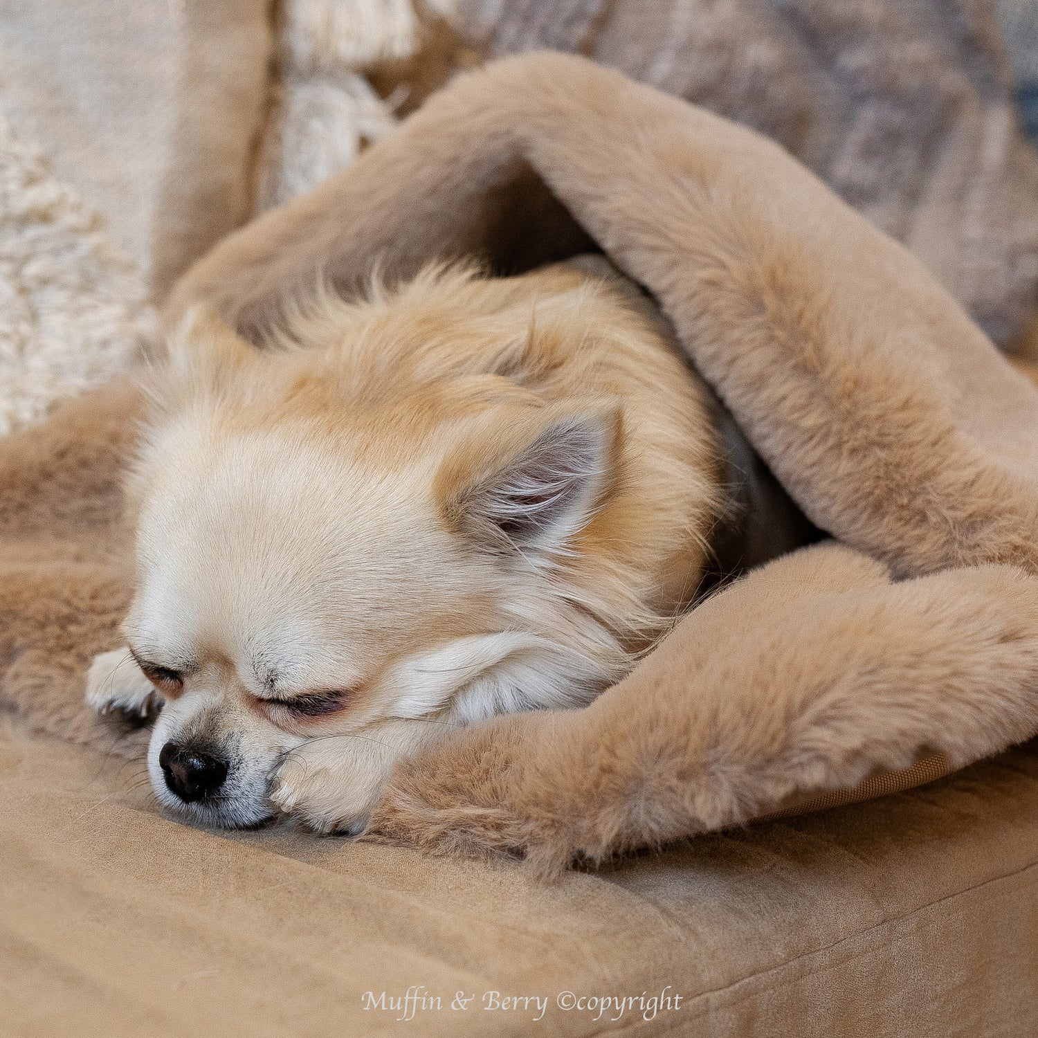 Blankets