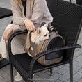 Load image into Gallery viewer, House carrier DARCY
