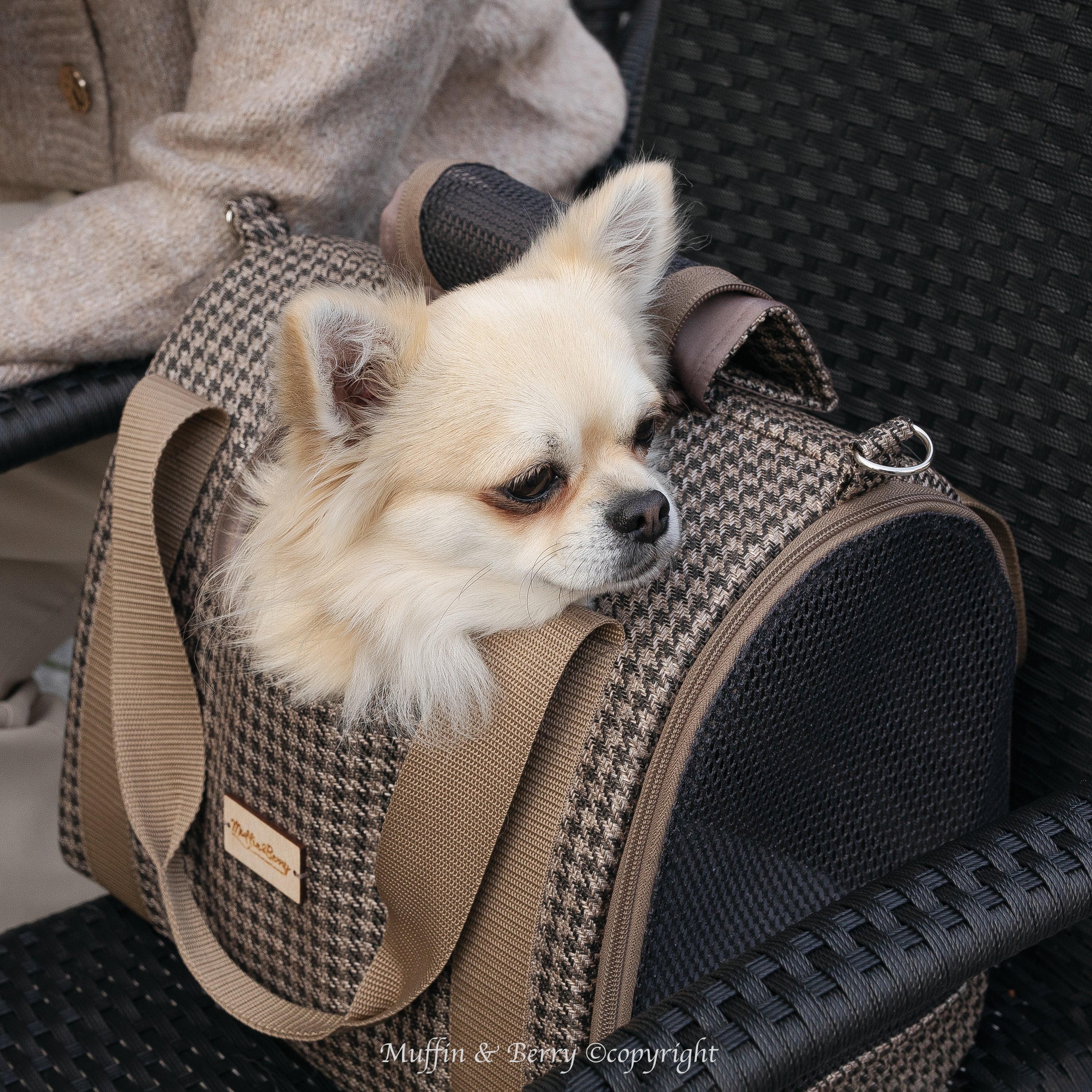 House carrier - DARCY