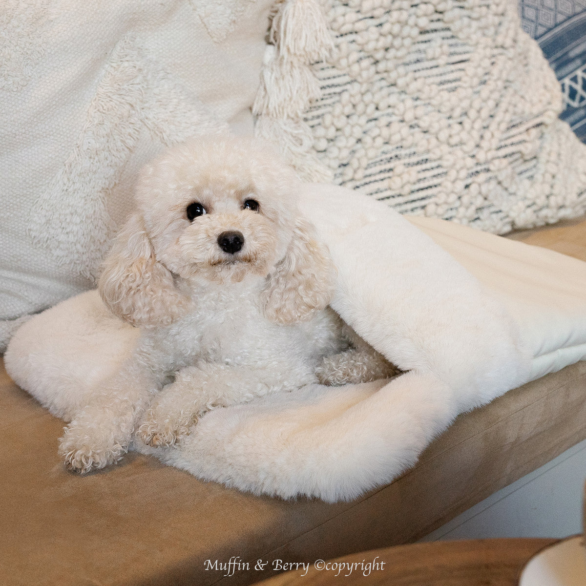 Faux Fur Sleeping Pocket - ASPEN