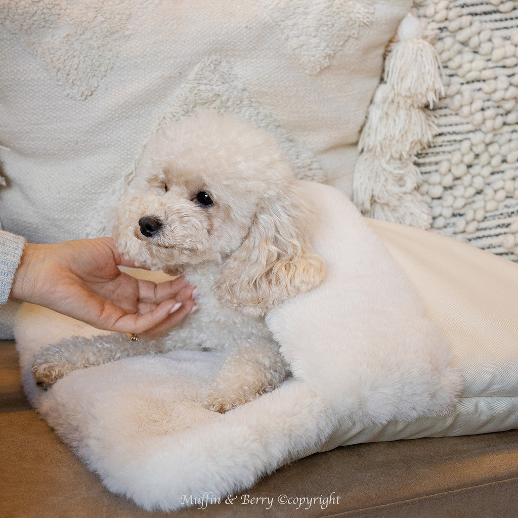 Faux Fur Sleeping Pocket - ASPEN