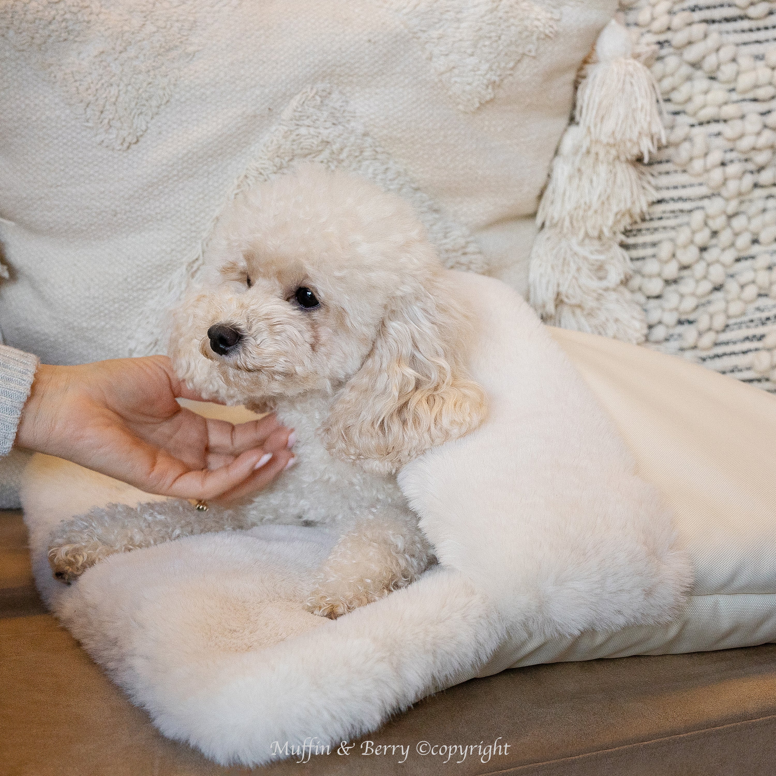 Faux Fur Sleeping Pocket - ASPEN