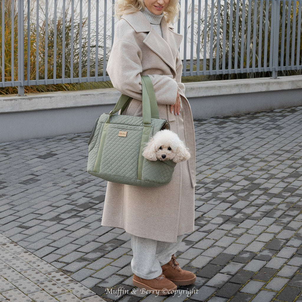 Two-Sided Pet Carrier – ANICA