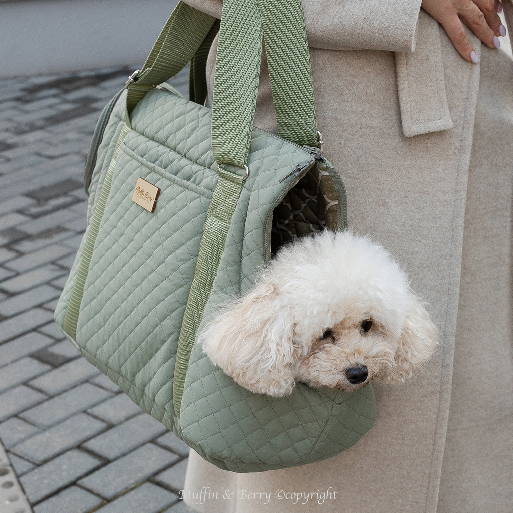 Two-Sided Pet Carrier – ANICA
