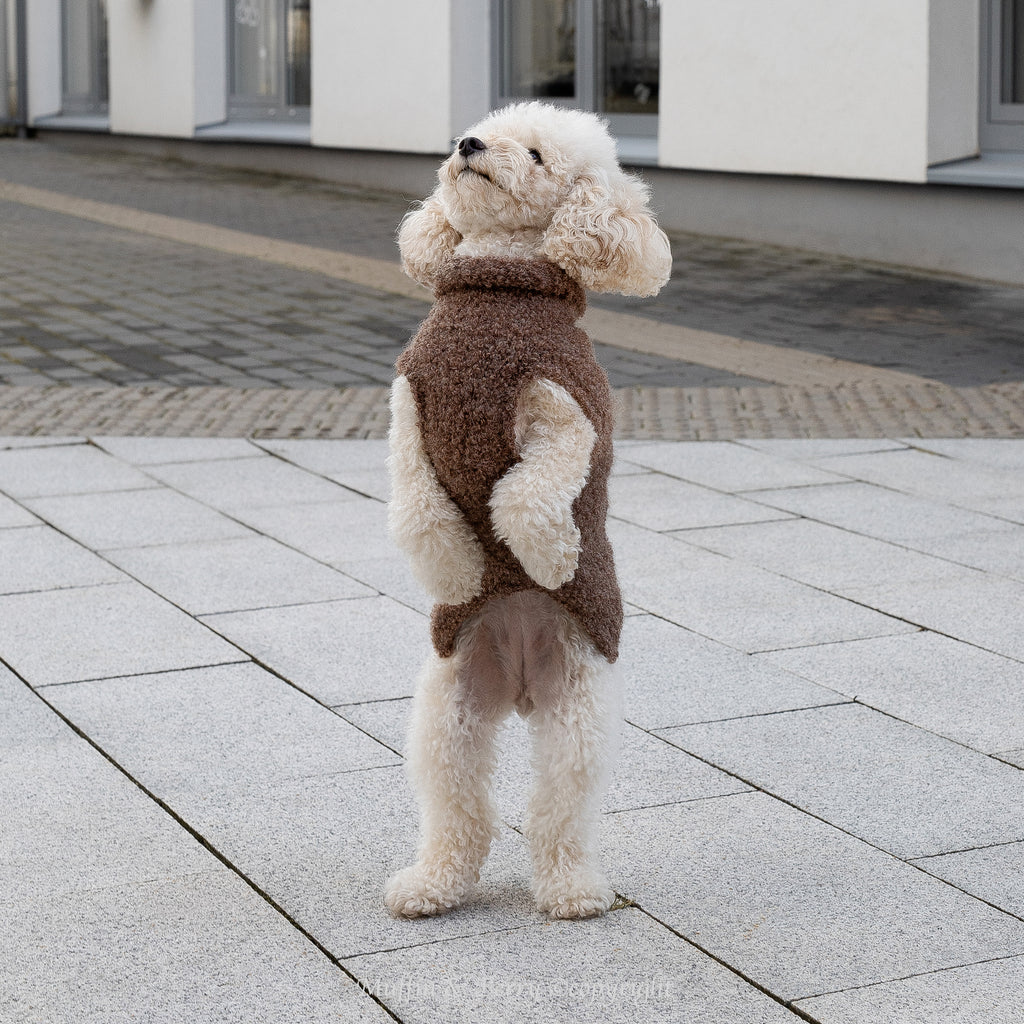 Alpaca Wool Bouclé Pet Sweater - OLIVIA