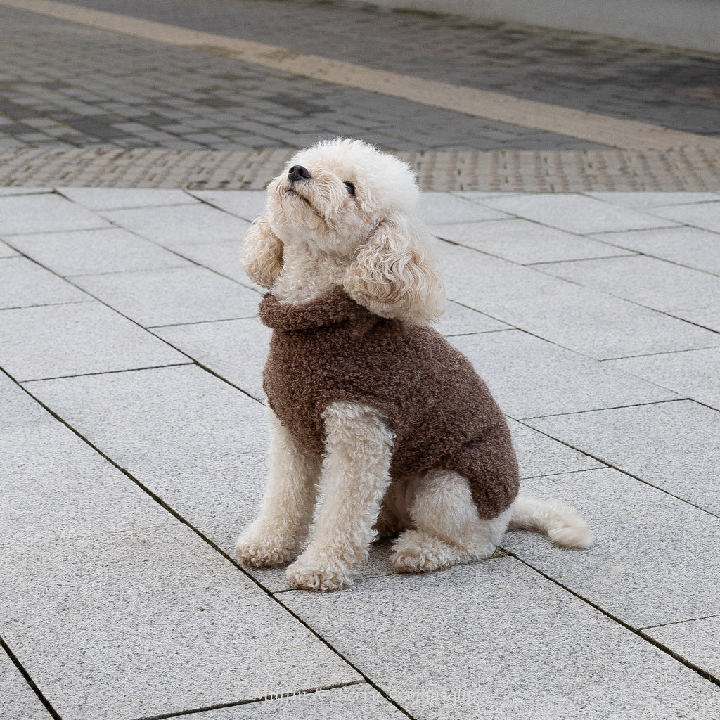 Alpaca Wool Bouclé Pet Sweater - OLIVIA