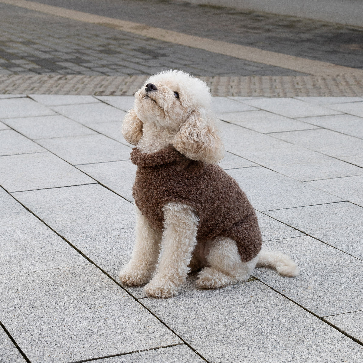 Alpaca Wool Bouclé Pet Sweater - OLIVIA