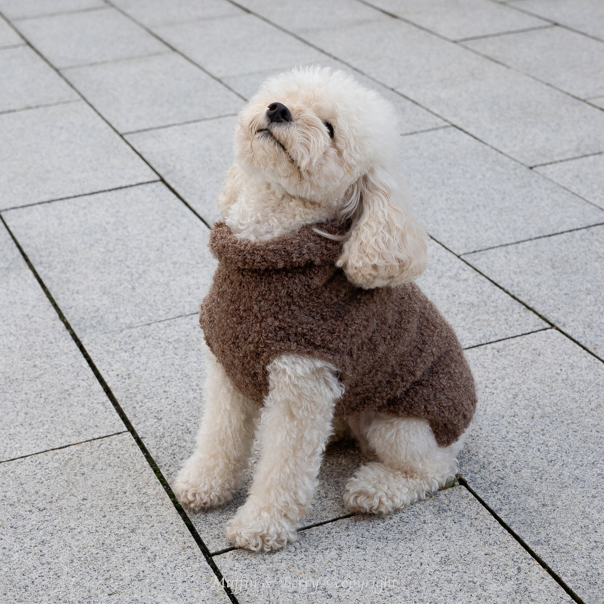 Alpaca Wool Bouclé Pet Sweater - OLIVIA