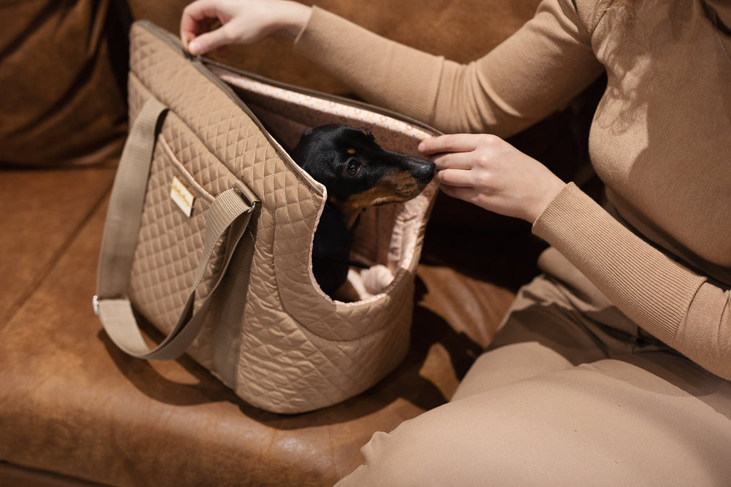 Woman sitting on sofa unzipping AMELIA camel quilted dog carrier bag, Dachshund inside the carrier, by Muffin & Berry