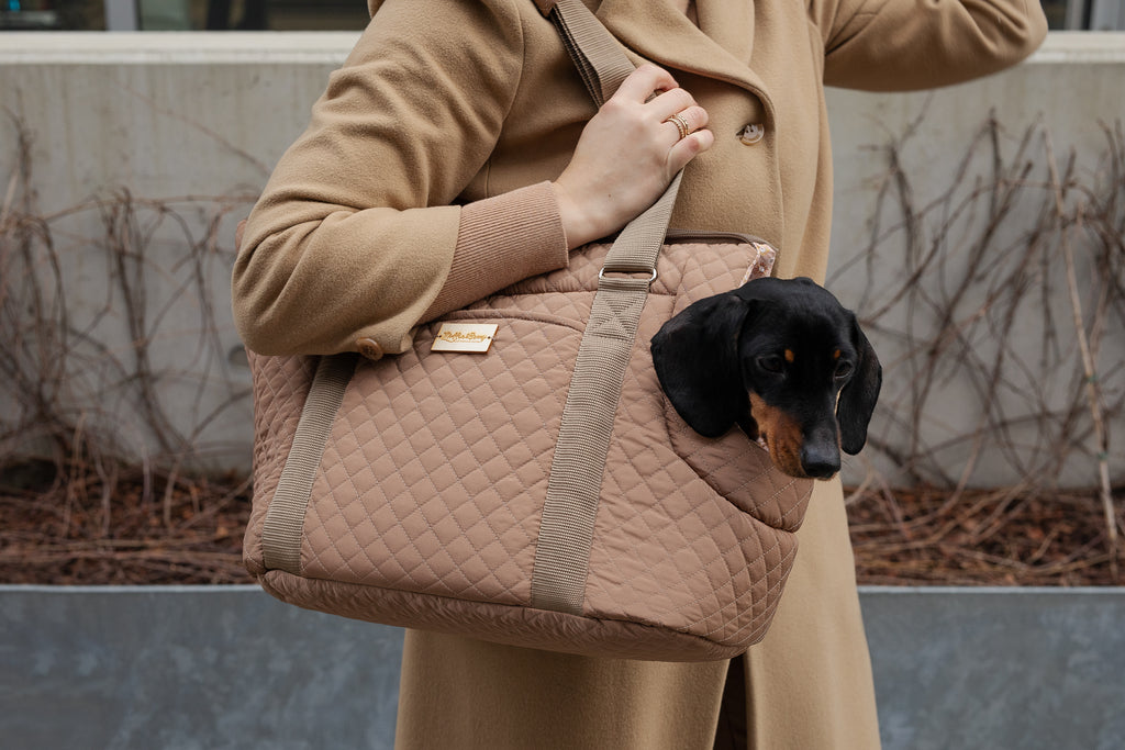 Woman walking outdoors carrying AMELIA camel quilted dog carrier bag on her shoulder, Dachshund peeking out of front opening, by Muffin & Berry