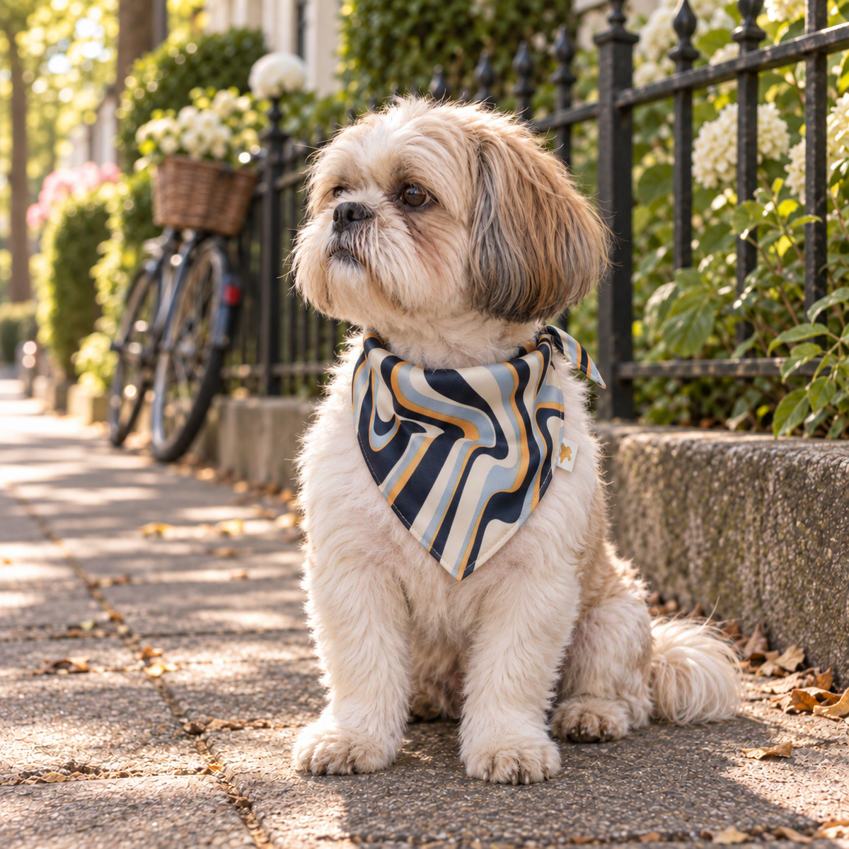 Small Shih Tzu dog sitting on a sidewalk wearing the KELLY bandana, with abstract navy, cream, pale blue and gold waves, by Muffin & Berry