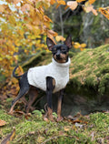 Alpaca Wool Bouclé Pet Sweater - LOGAN
