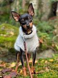 Mohair-Look Alpaca & Merino Wool Pet Sweater - ISLA
