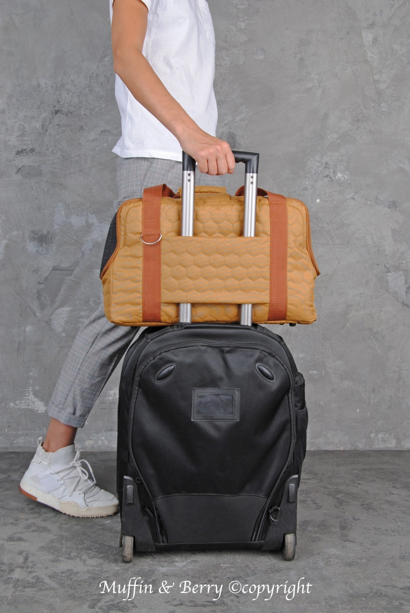Pet travel carrier – ALBERT
