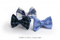 Load image into Gallery viewer, Bow tie BRYSON
