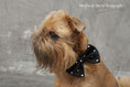 Load image into Gallery viewer, Bow tie WATSON
