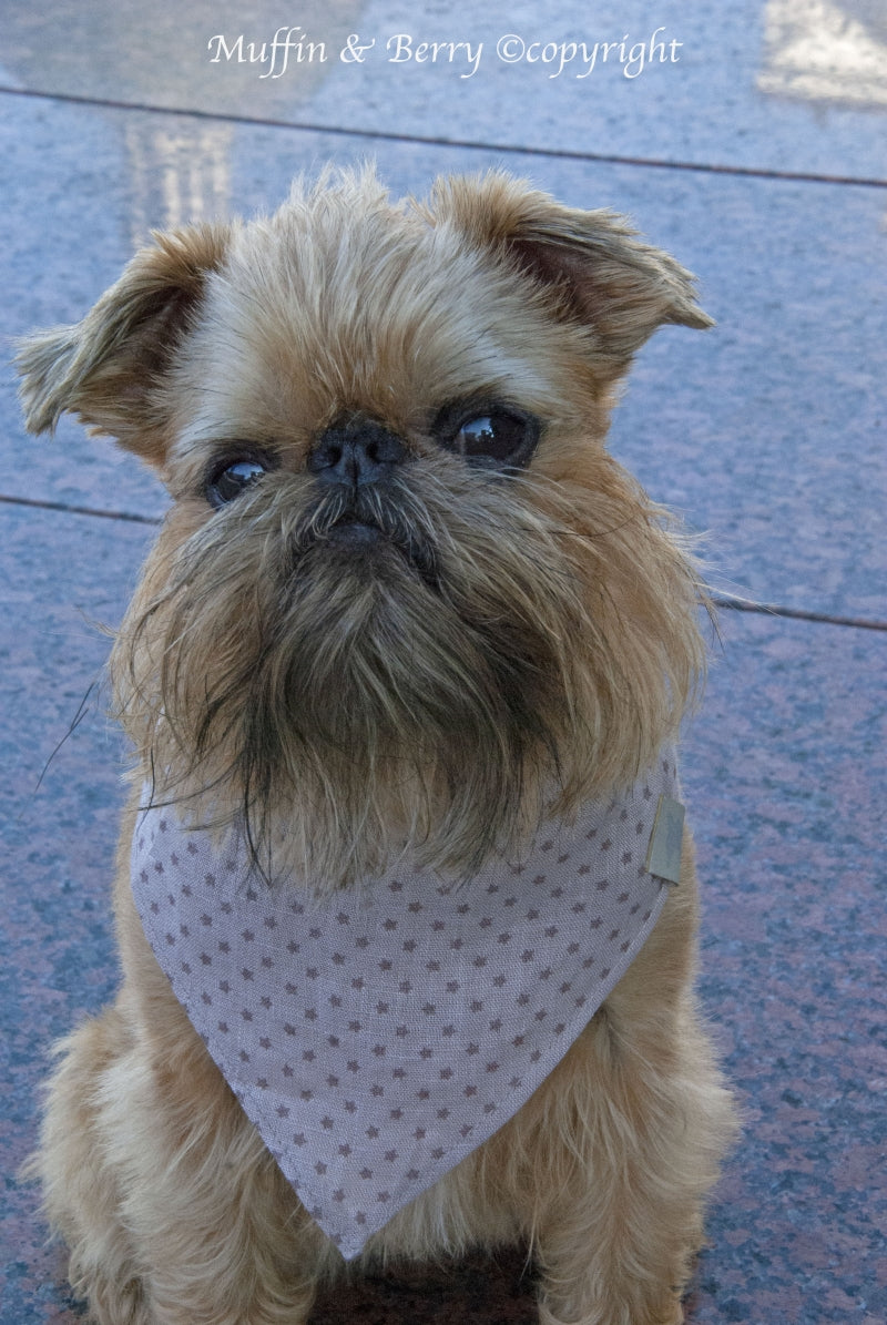 Linen bandanas WARREN