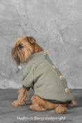Load image into Gallery viewer, Jumper LIAM

