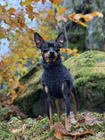 Load image into Gallery viewer, Alpaca & Merino Wool Pet Sweater | Mohair-Look Pullover CAMERON
