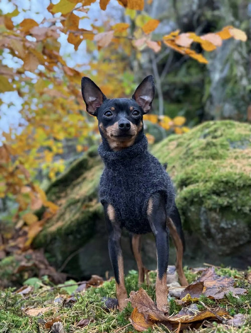 Alpaca & Merino Wool Pet Sweater | Mohair-Look Pullover CAMERON