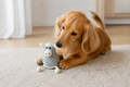 Crochet Pig Dog Toy – GIOVANNI